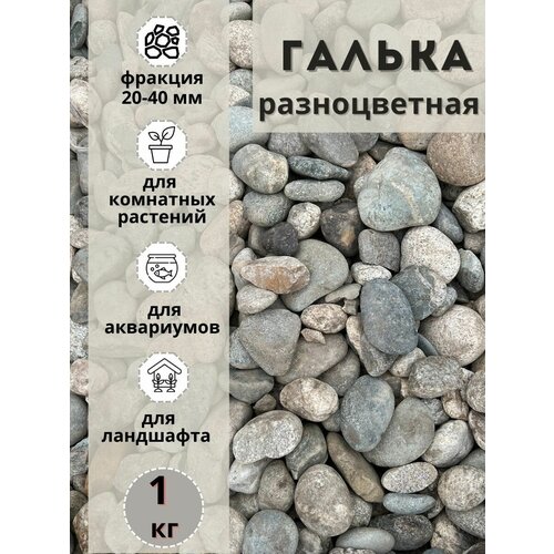 Галька разноцветная(пестрая) 20-40мм (1кг) для комнатных и садовых растений