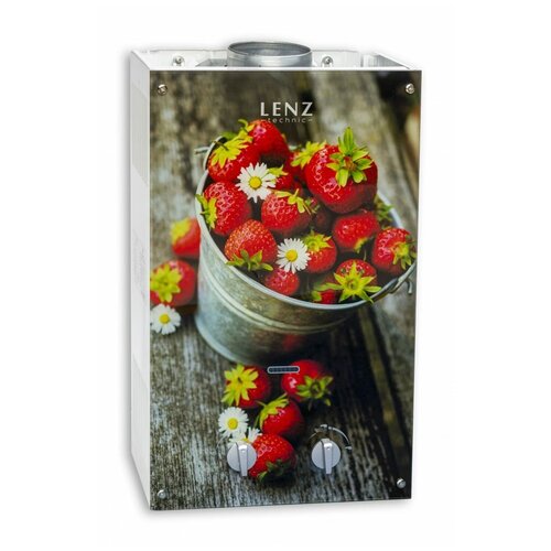 Газовый проточный водонагреватель Lenz Technic 10L Berry