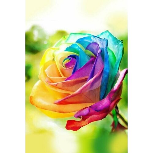 Алмазная мозаика 20х30см Роза 28 цветов страз картонная коробка 706₽
