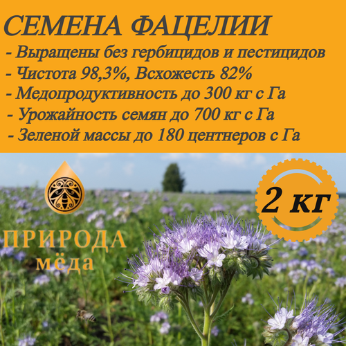 Семена фацелии - 2 кг
