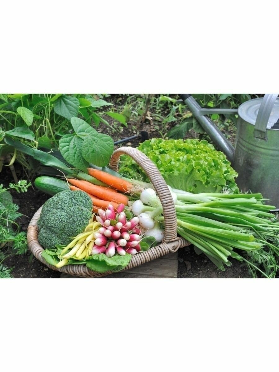 Гумат калия "Росток Грин" - универсальное удобрение для плодовых и овощных культур