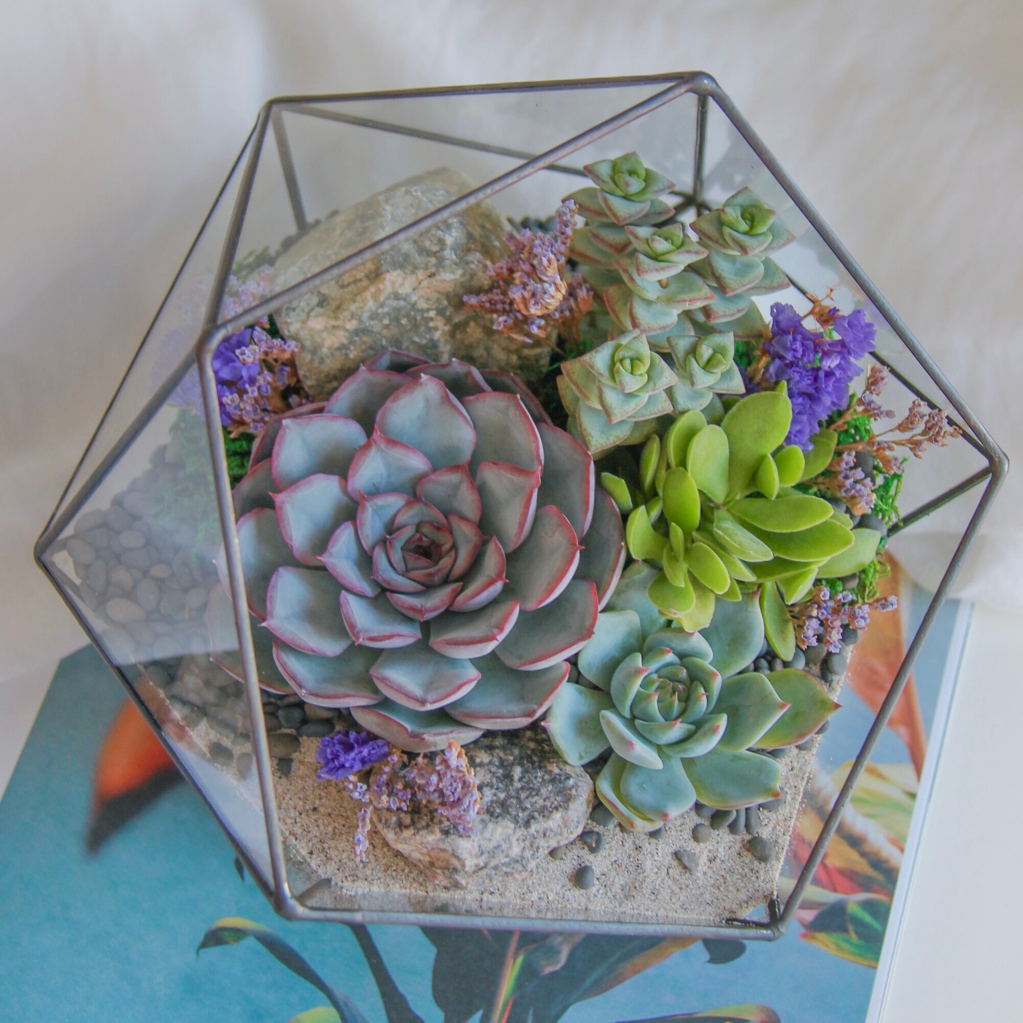 Флорариум со светолюбивыми суккулентами  Летний вечер  от SEVERINSIDE