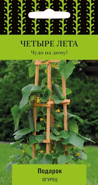 Огурцы Подарок 5шт Четыре лета (Поиск)