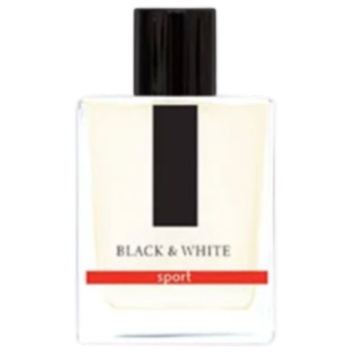 Dilis Parfum туалетная вода Black&White, 100 мл