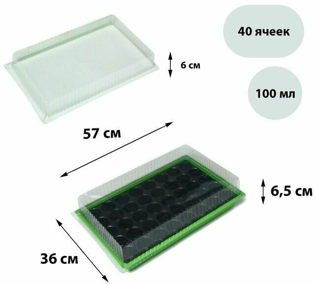 Мини-парник для рассады, 56.7 х 36 х 15.5 см, 1 вставка, 40 ячеек, 3 шт.
