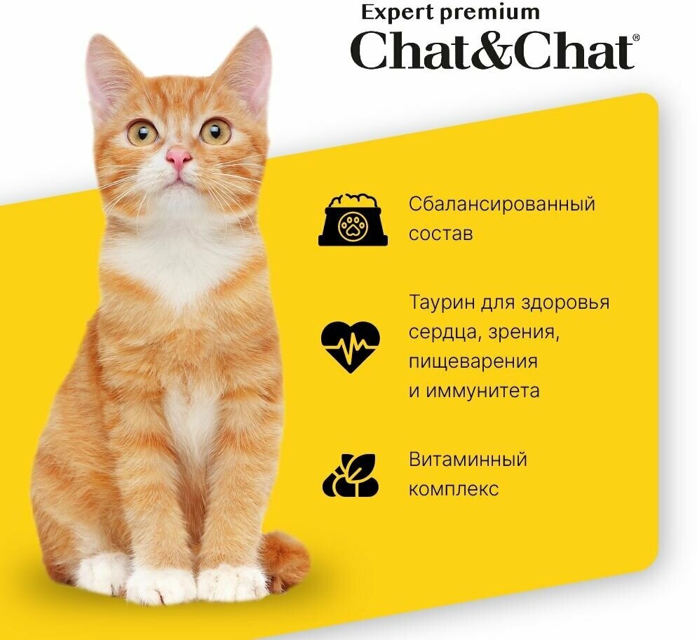 Сухой корм Chat&Chat Expert Premium Kitten with chicken, для котят с курицей, 900г - фотография № 2