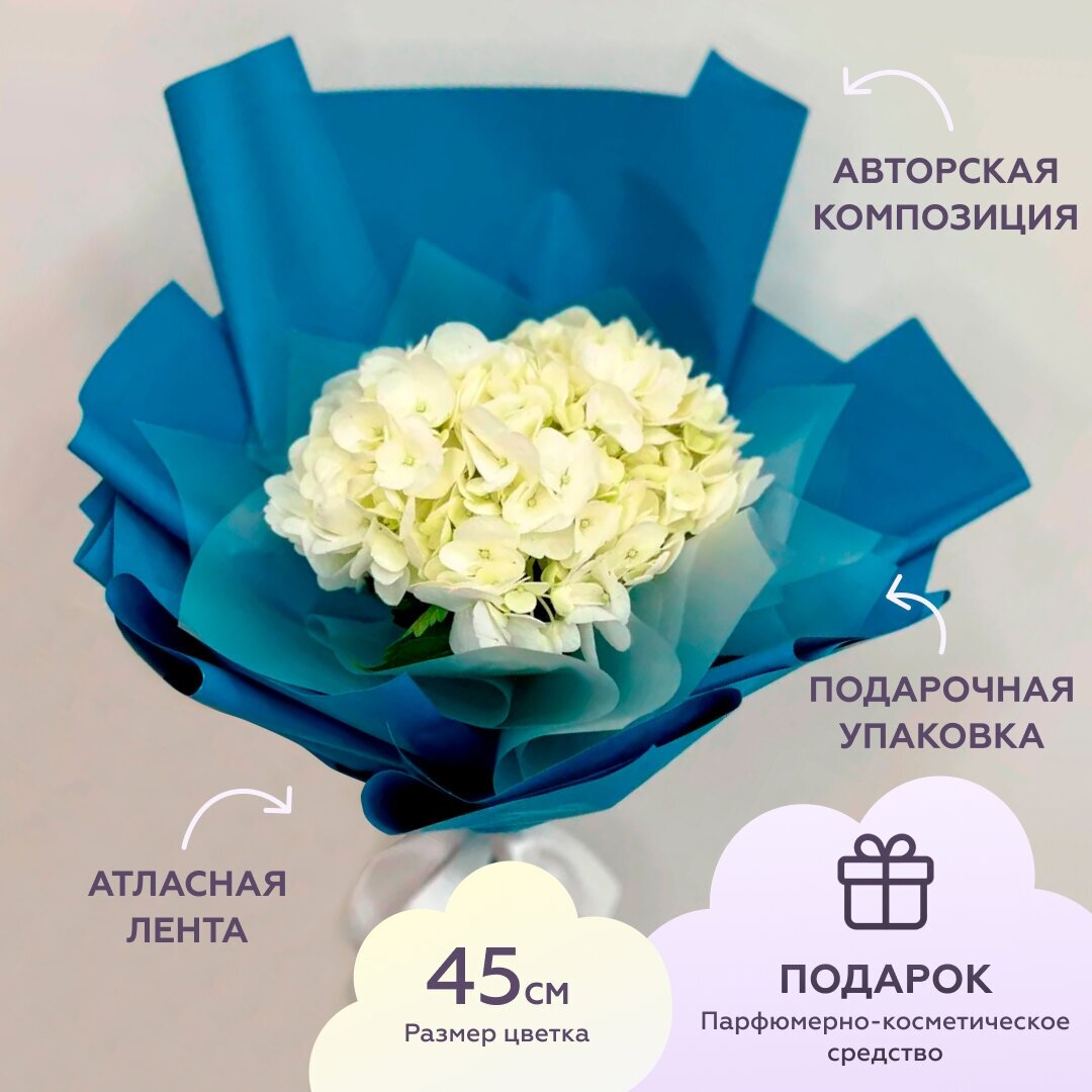 Букет из гортензии цветочная композиция 45 см цветы живые букет от, Лэтуаль Flowers