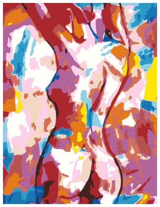 Картина по номерам "Женщина. Абстракция", 40x60 см