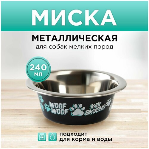 Миска стандартная «Дай! Ещё хочу!», 240 мл, 11х4 см миска металлическая для собаки дай ещё хочу 240 мл 11х4 см