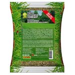 Семена Райграс пастбищный Эскваэр 400г в пакете, Аэлита - изображение