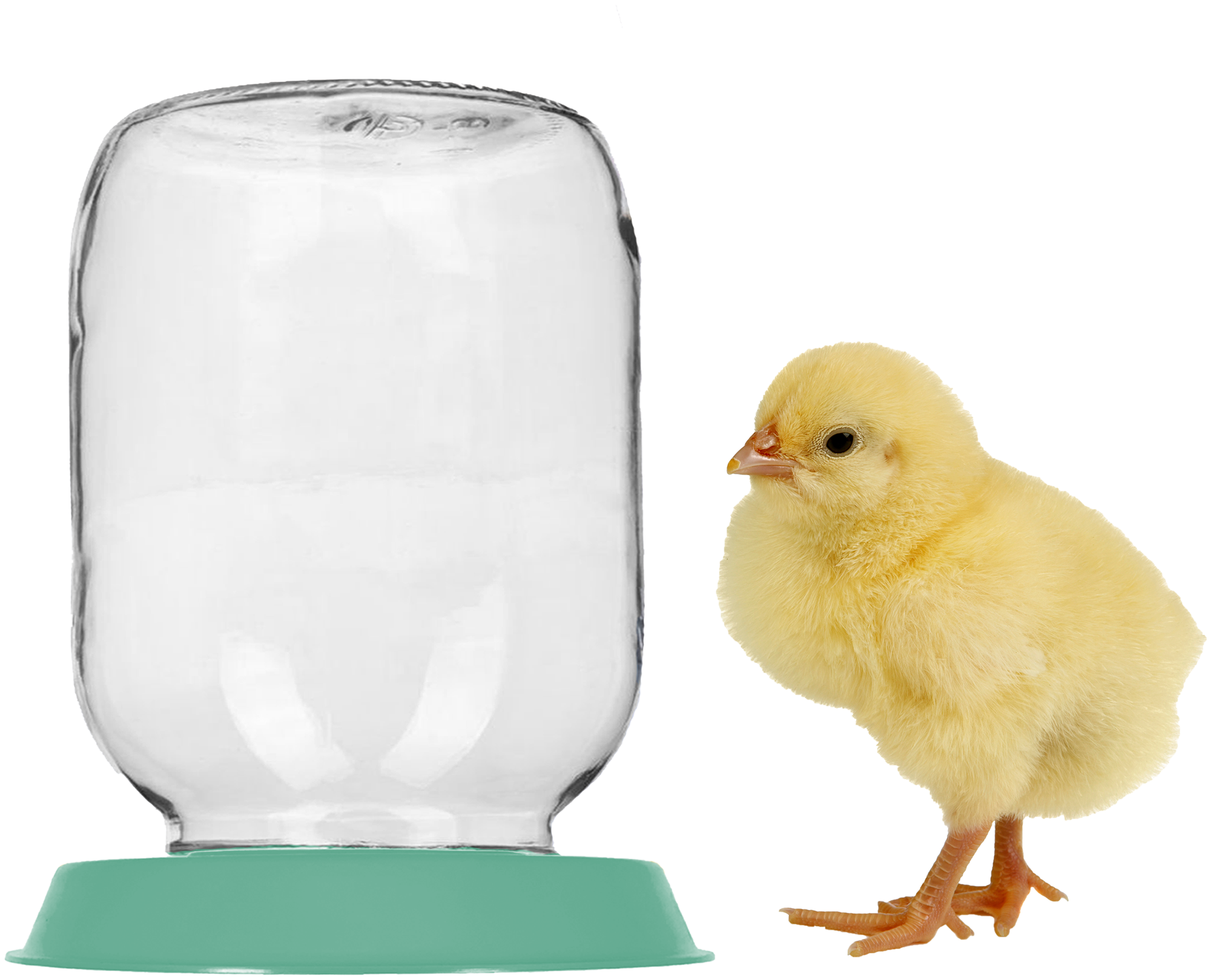 Комплект 3 шт поилки для птиц Yoma Home, вакуумный, под стеклянную банку, для животных, для цыплят, пластиковые, зеленые - фотография № 4