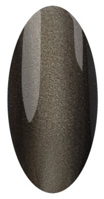 Irisk Professional Гель-лак Meteorite Cat Eye, 10 мл, 10 г, 06