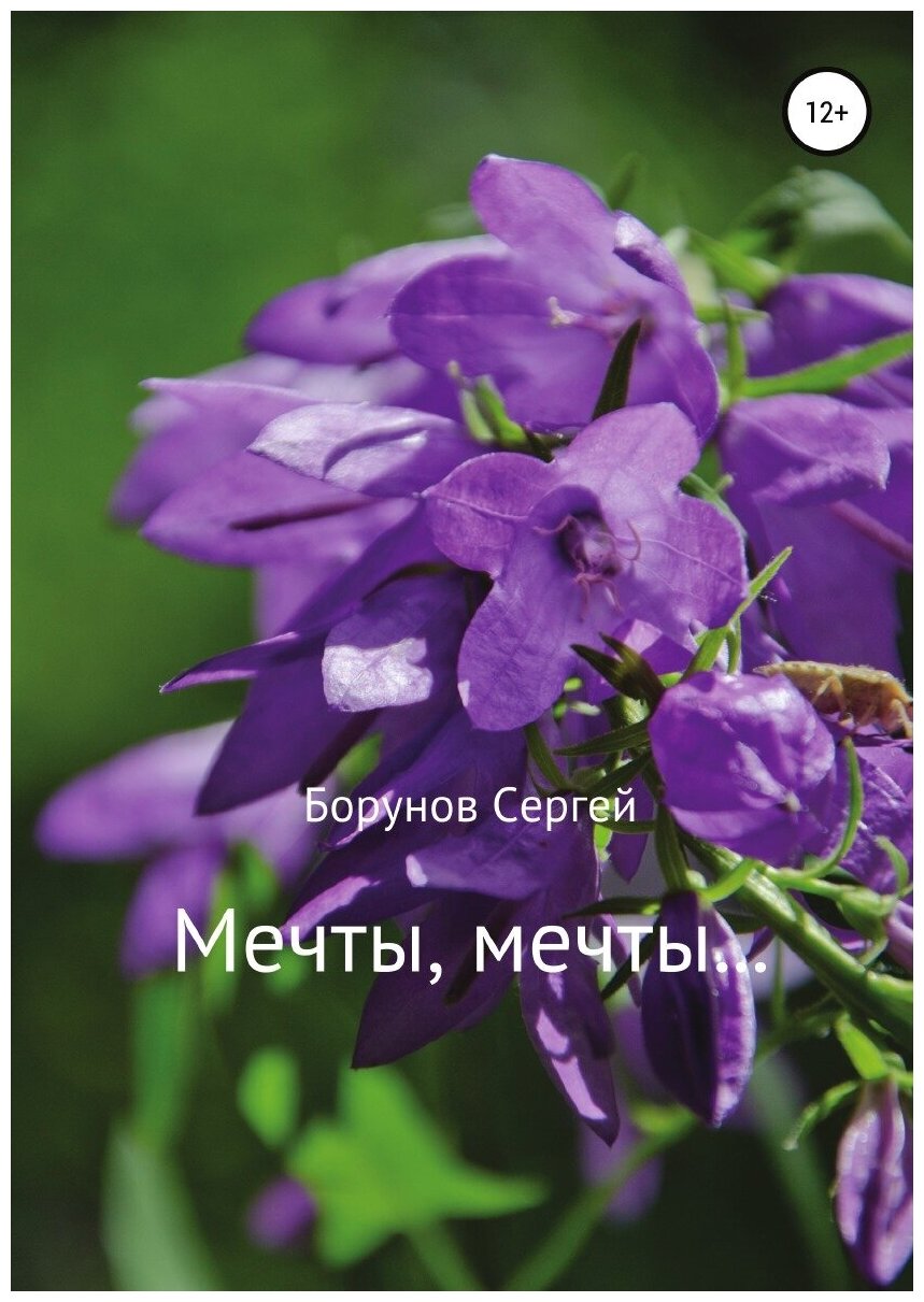Мечты, Мечты… (Борунов Сергей) - фото №1
