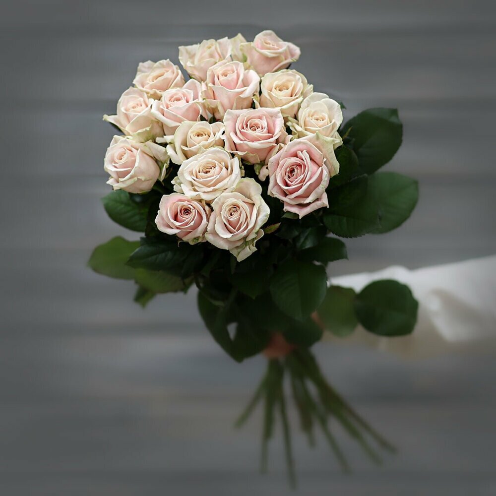 Букет из 13 кремово-розовых роз (Россия) с лентой 60 см Д