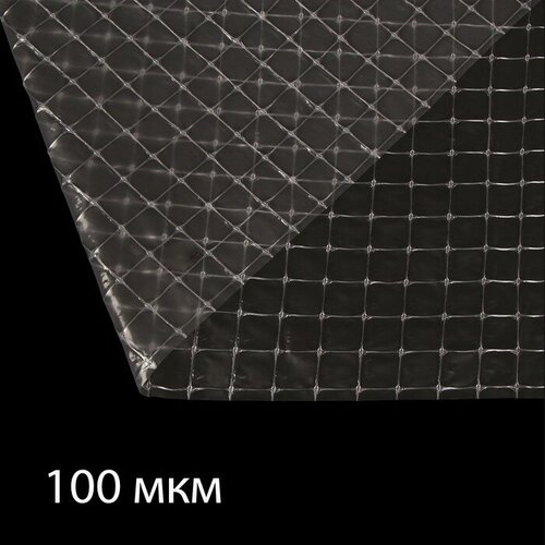Плёнка полиэтиленовая, армированная леской, толщина 100 мкм, 10 × 2 м, с УФ-стабилизатором