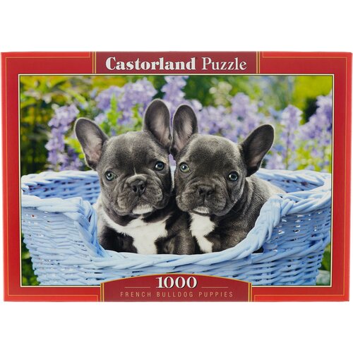 Пазл Castorland French Bulldog Puppies (C-104246), 1000 дет., 68х47х5 см