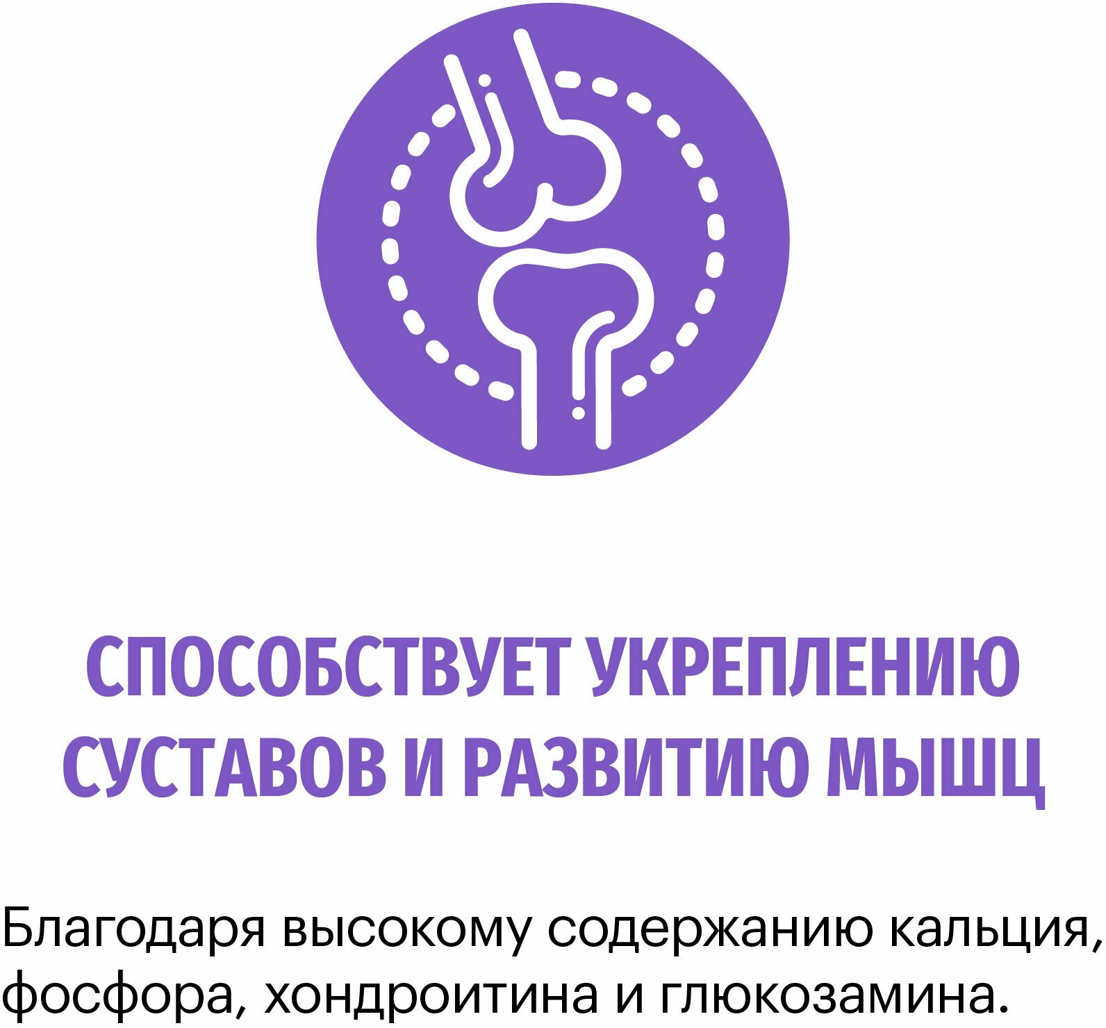 Корм для собак сухой KARMY Starter Индейка для щенков до 4-х месяцев, беременных и кормящих сук 2кг — фото 1