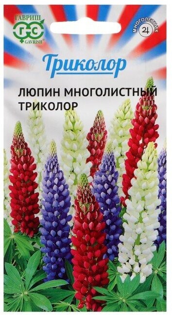 Семена цветов Люпин Триколор, 0,6 г 3 шт