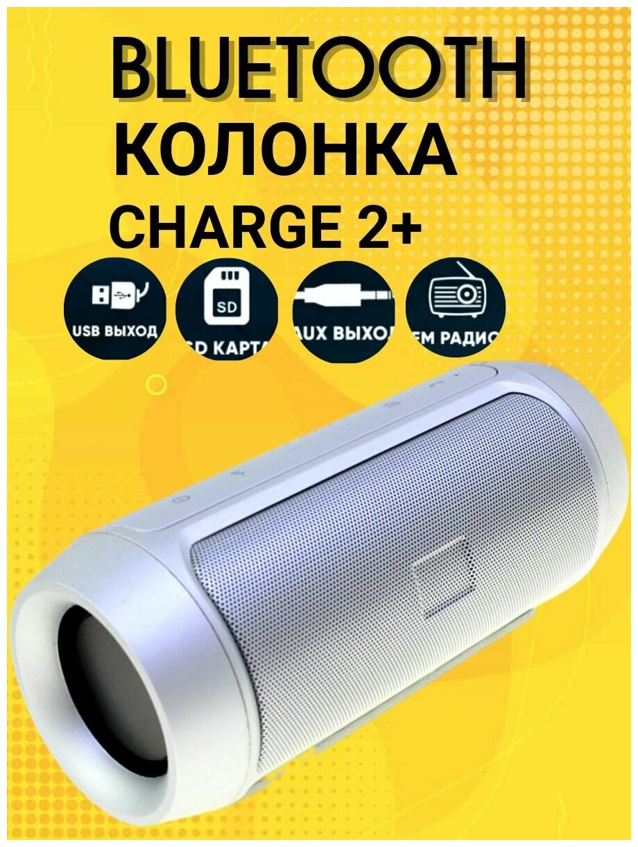 Сharge2+