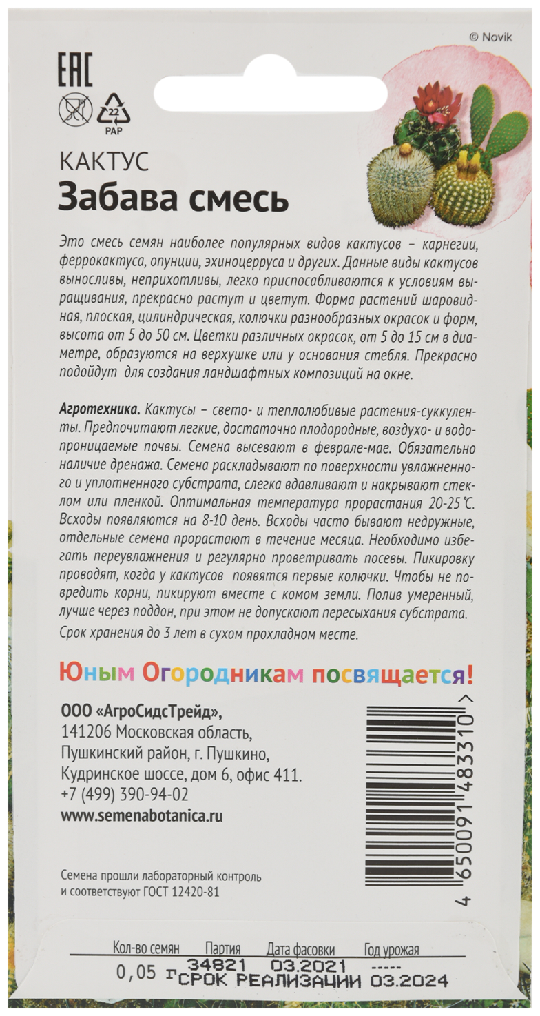 Семена Кактус Октябрина Ганичкина - фото №3