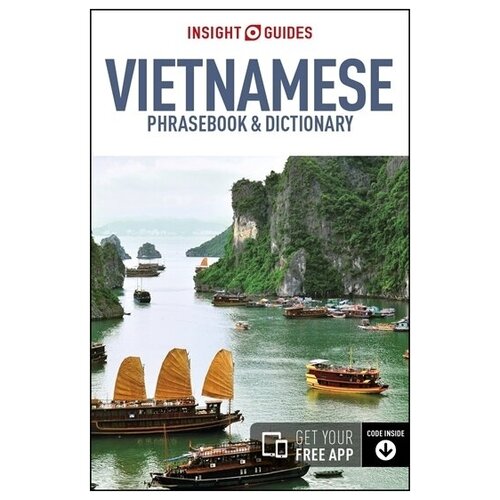 разговорник Vietnamese Insight