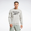 Свитшот Reebok RI FLC BIG LOGO CREW - изображение