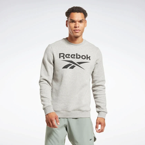 Фото Свитшот Reebok RI FLC BIG LOGO CREW