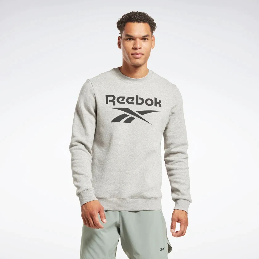 Свитшот Reebok RI FLC BIG LOGO CREW