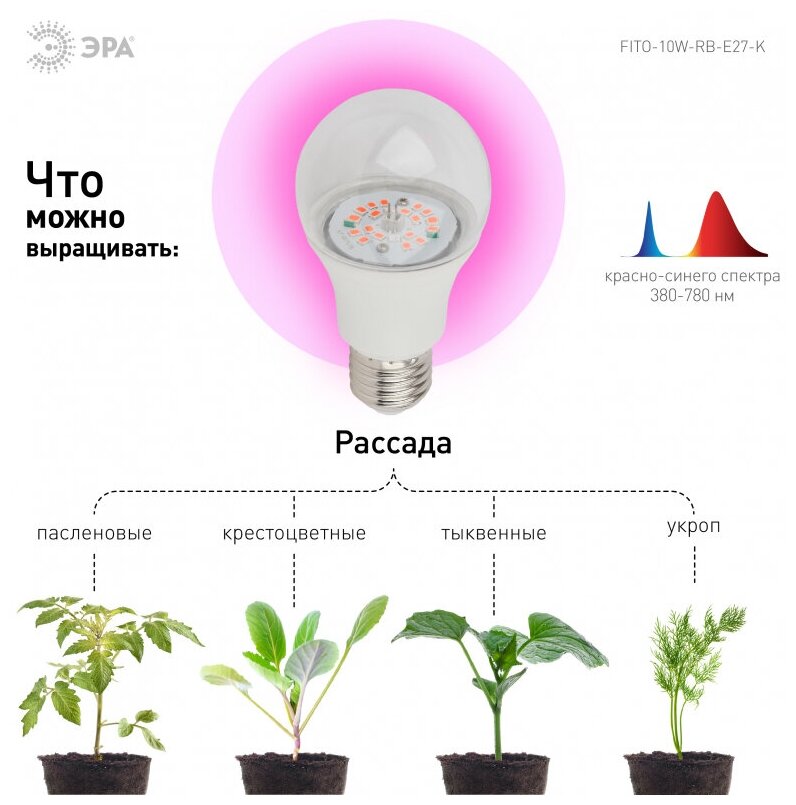 ЭРА FITO-10W-RB-E27