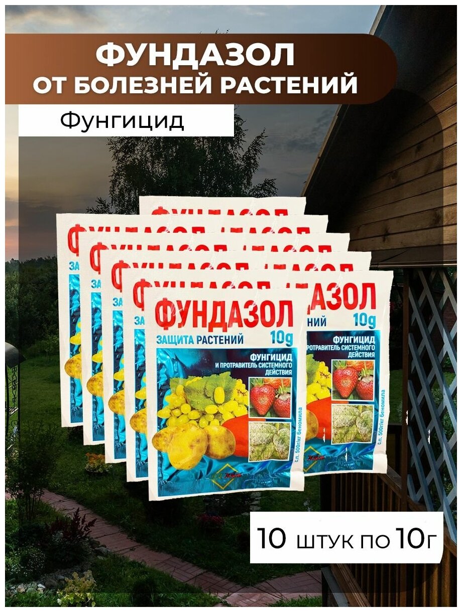 Фундазол, СП / средство для борьбы против болезней на плодовых, овощных, ягодных культурах, 10 Упаковок по 10г, Фунгицид - фотография № 1