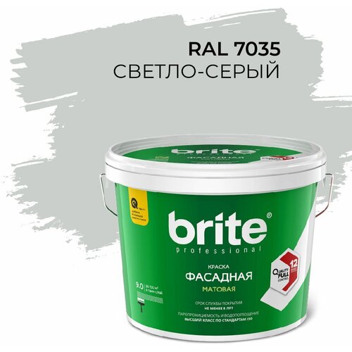 Краска Brite® Professional фасадная матовая (колерованная)