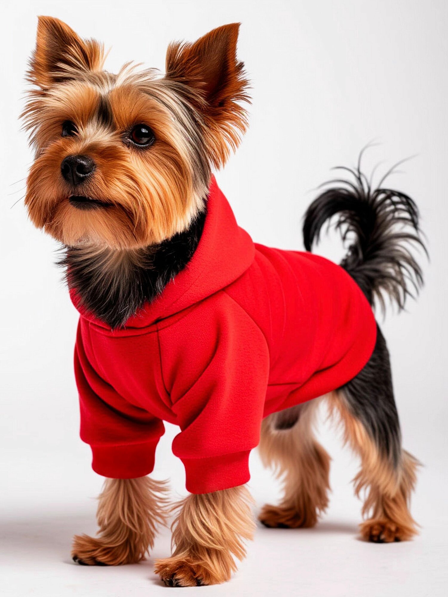 Толстовка Mon Pompon's, для собак, с поводком, весенняя, красная