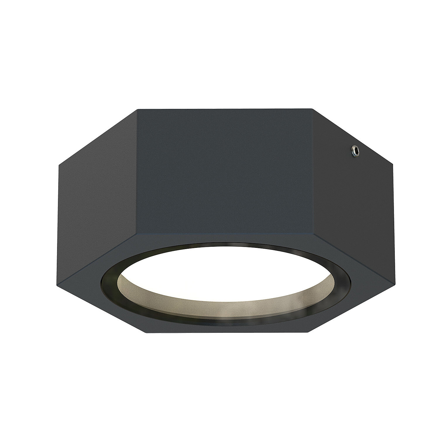 Уличный потолочный светильник Favourite Fantum 4667-1U