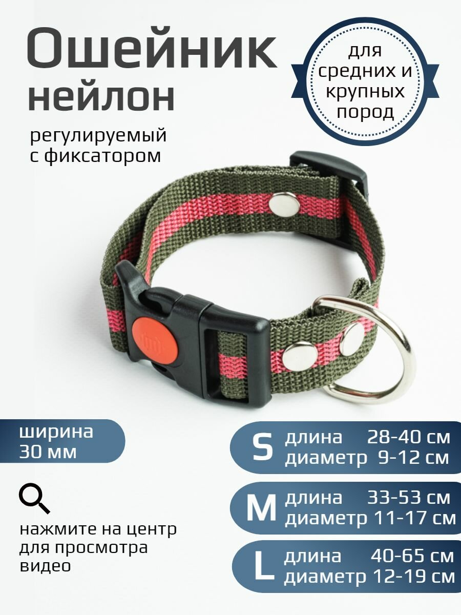 Ошейник Хвостатыч для собак c регулируемым фиксатором 30 мм (зелено-красный) размер L