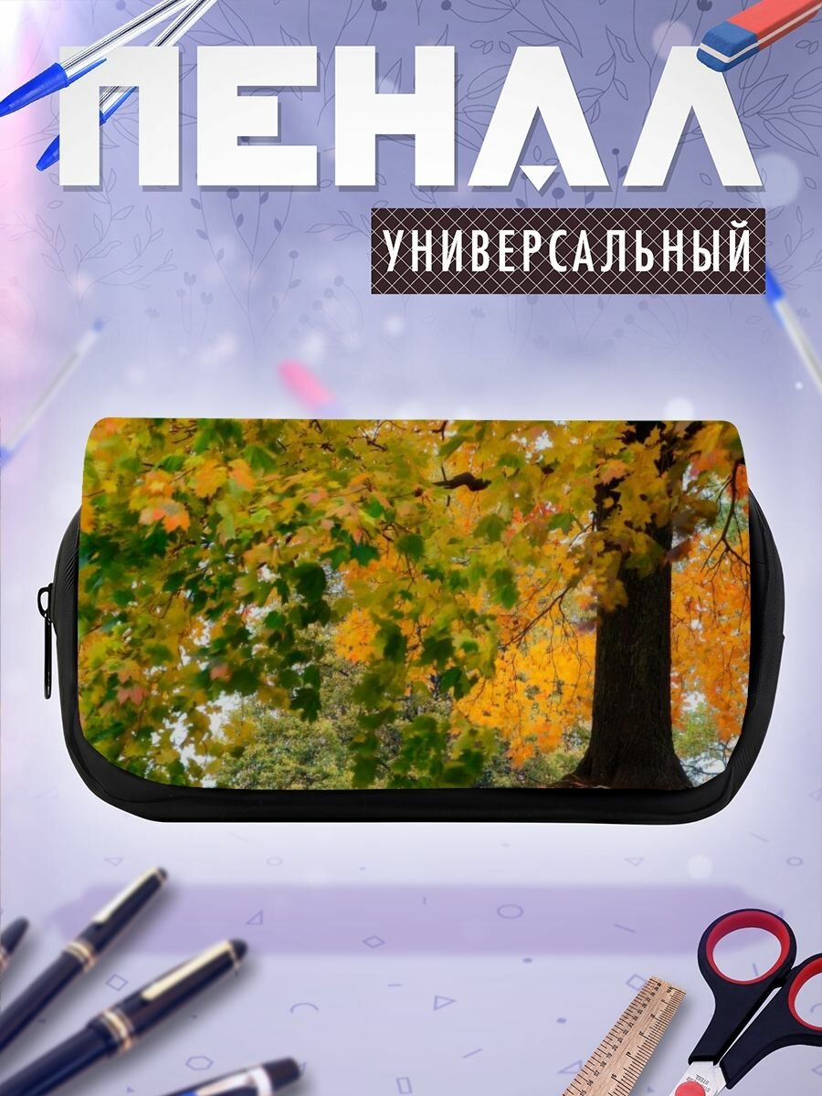 Школьный пенал дерево лист