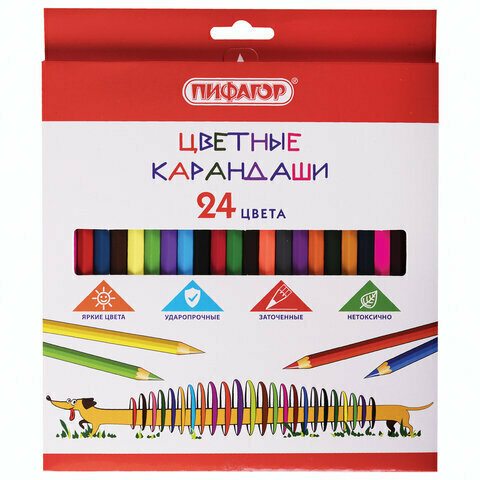 Карандаши цветные пифагор «Веселая такса», 24 цвета, классические, заточенные
