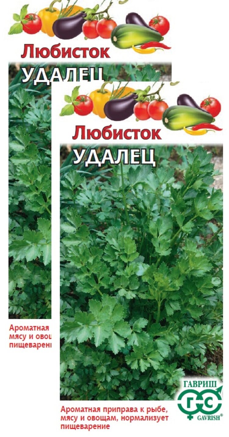 Семена Любисток Удалец (0,5 г), 2 пакета, многолетник, Агрофирма Гавриш