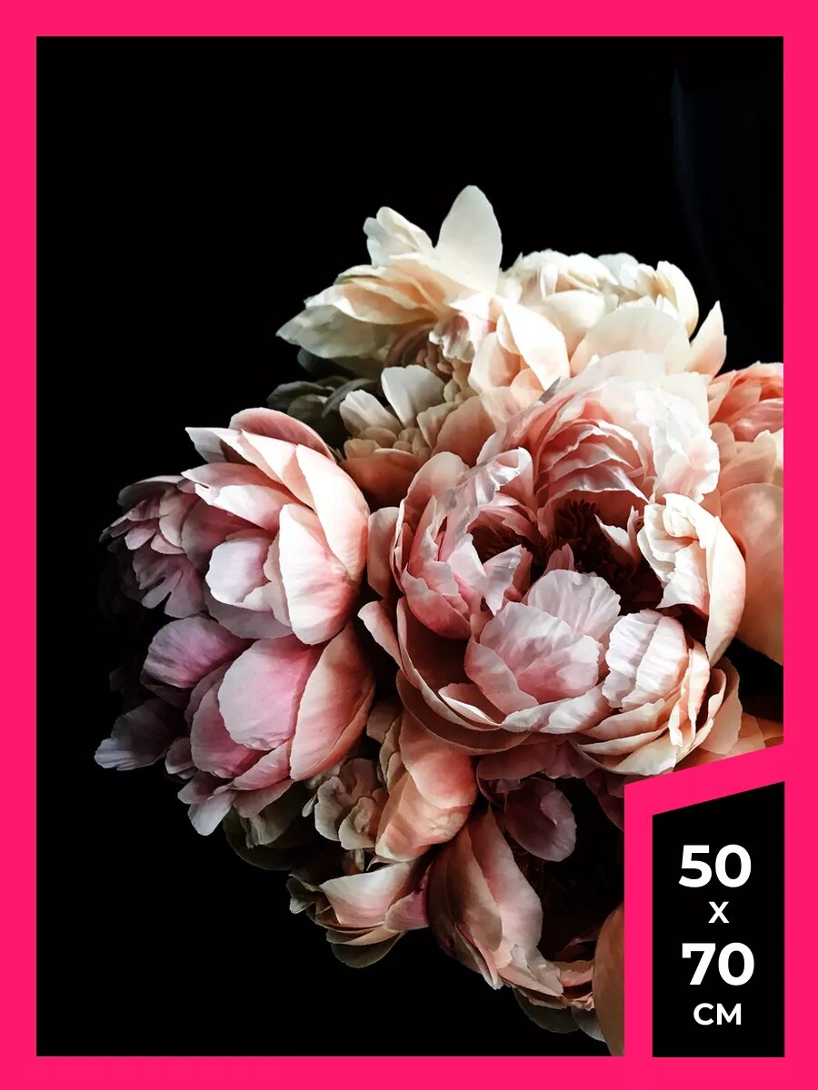 Постер пионы плакат 39 на стену А1 А2 А3 50 х 70 матовая фотобумага премиум качества