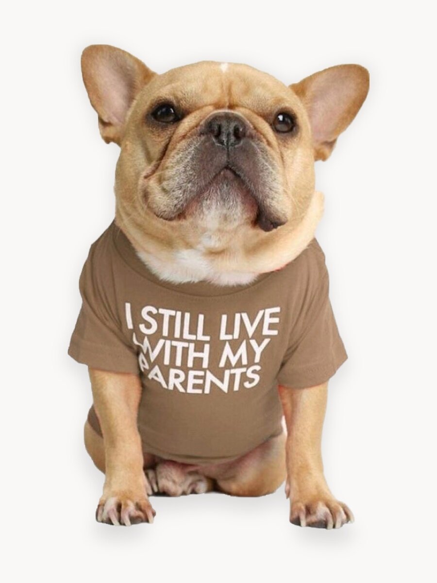 Футболка для собак мелких и средних пород, для кошек, для котов, для щенков и котят. Одежда для собак и кошек. Размер-XXL, коричневый