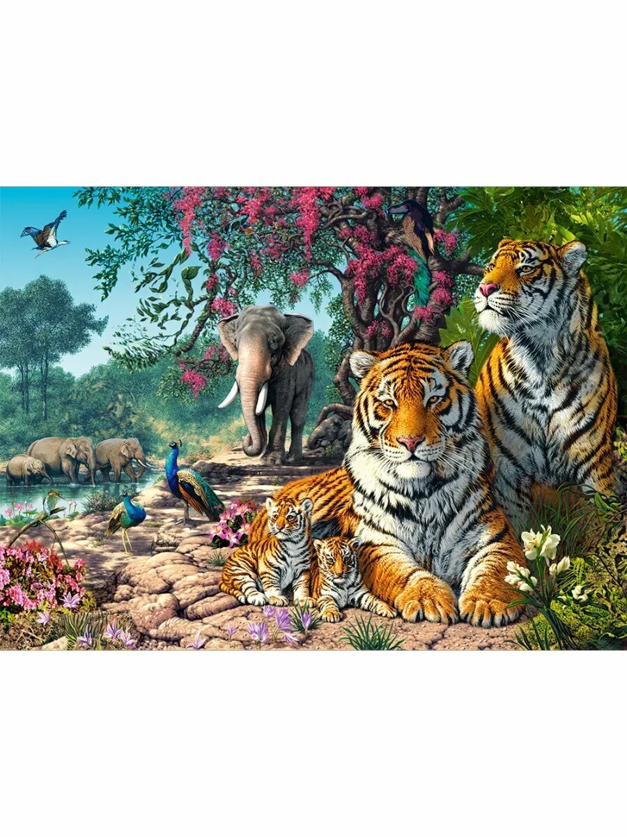 Пазл Заповедник, 3000 деталей — фото 1