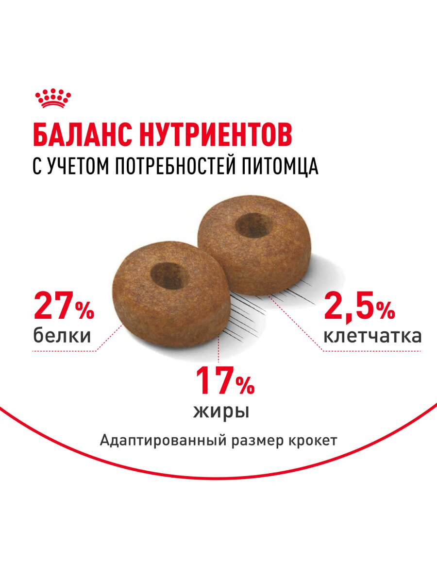 Сухой корм Royal Canin Maxi Ageing 8+ для собак старше 8 лет крупных пород Птица, 3 кг. — фото 1