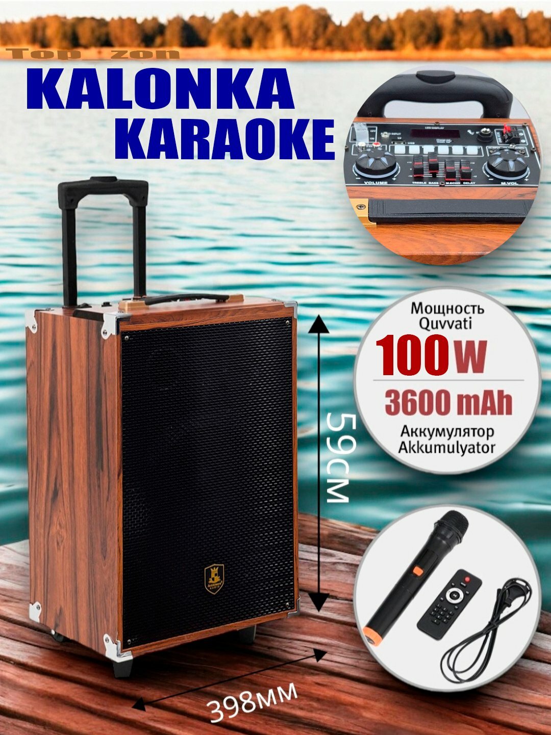 Портативная колонка B-Q12 караоке Bluetooth с микрофоном и пультом, беспроводная — фото 1