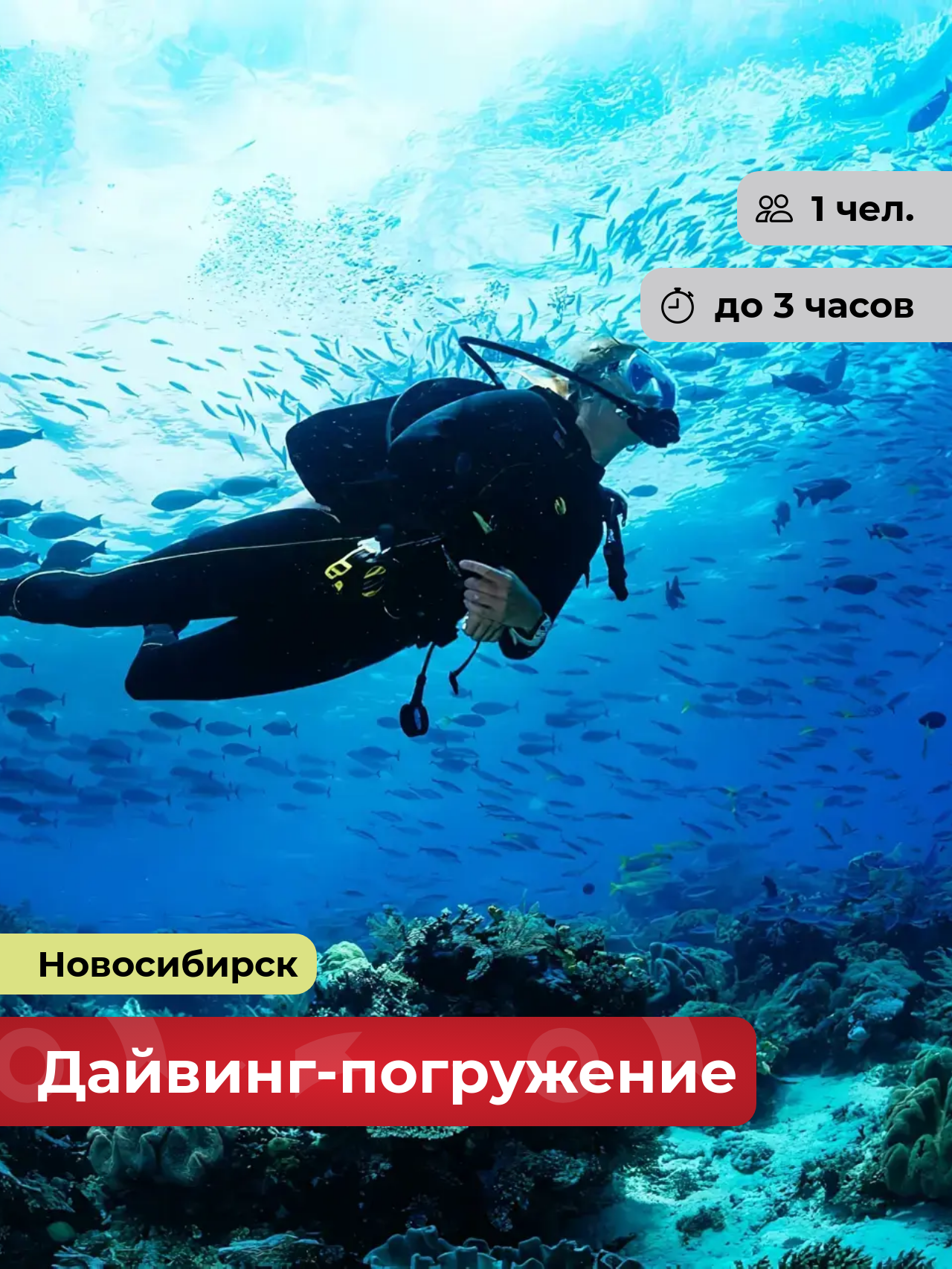 Подарочный сертификат bonodono Дайвинг-погружение на открытой воде «Миссия на глубине.» г. Новосибирск