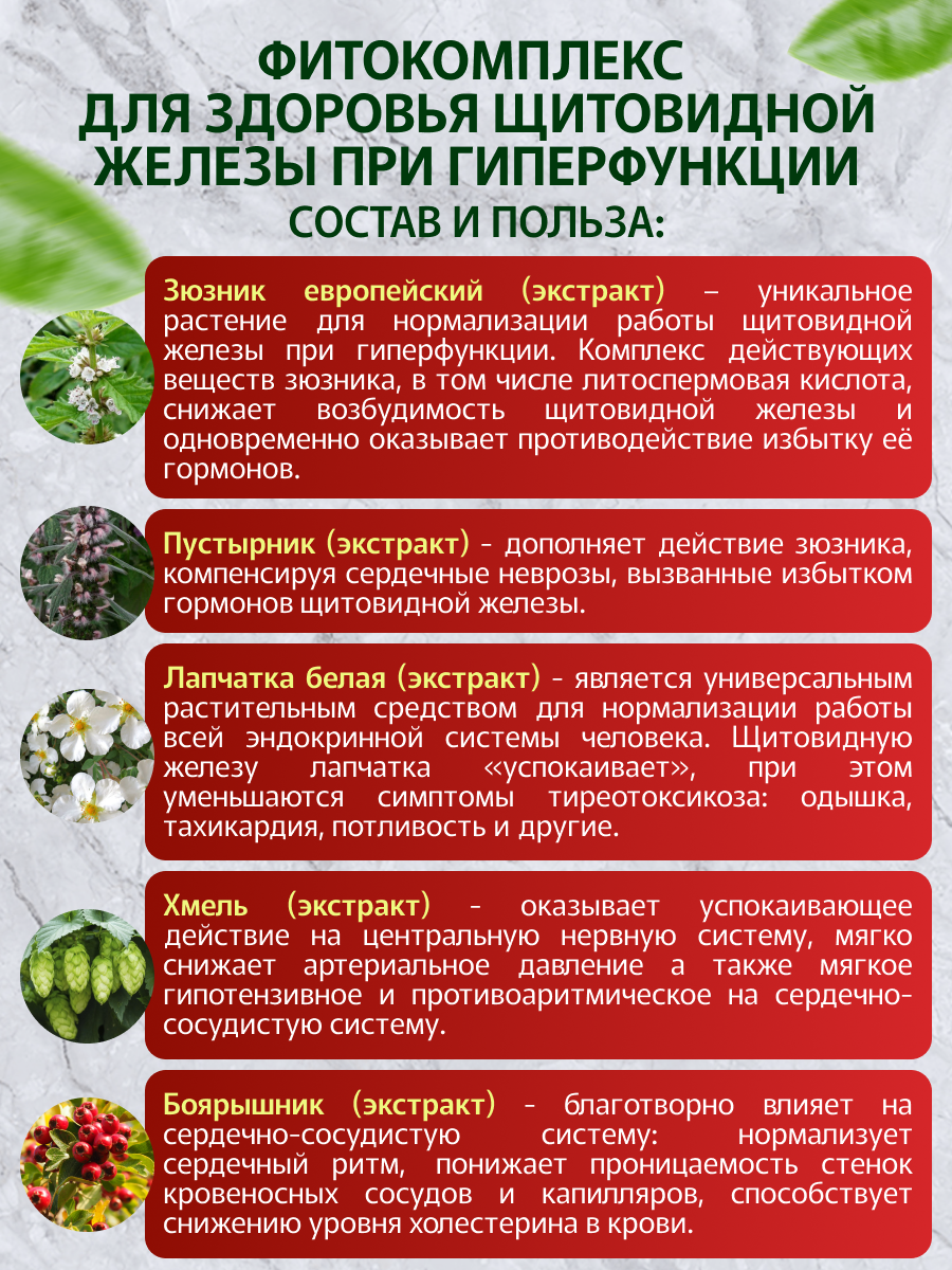Изображение Фитокомплекс экстрактов трав Для здоровья щитовидной железы при гипертиреозе