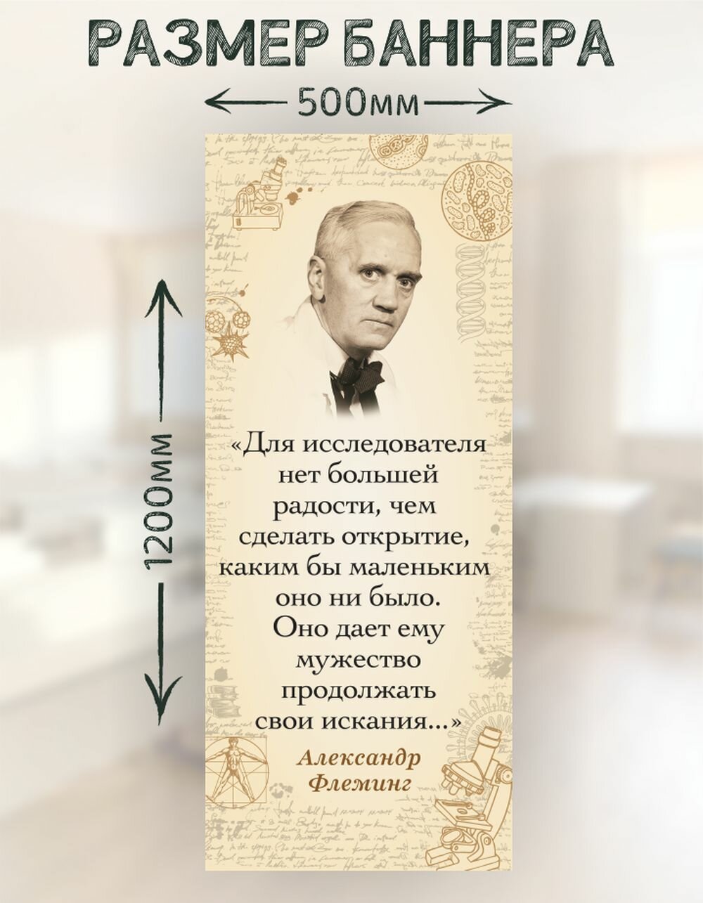 Плакат-баннер в кабинет биологии Флеминг — фото 1