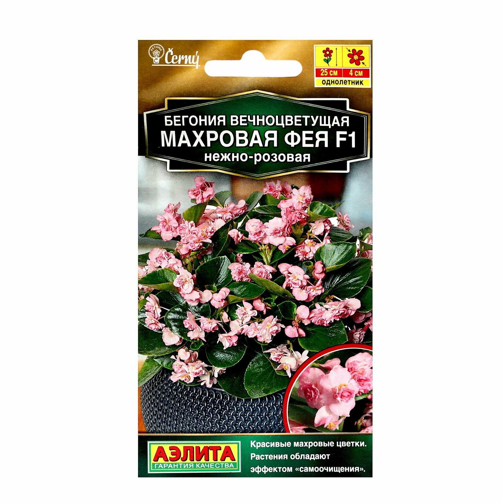 Семена цветов Бегония вечноцветущая махровая 