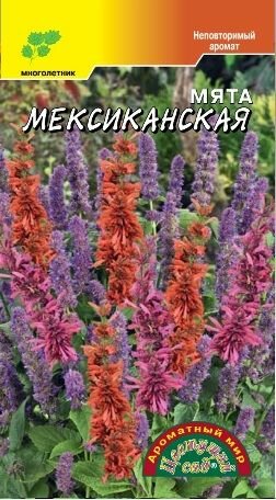 Семена Мята Мексиканская Цветущий сад
