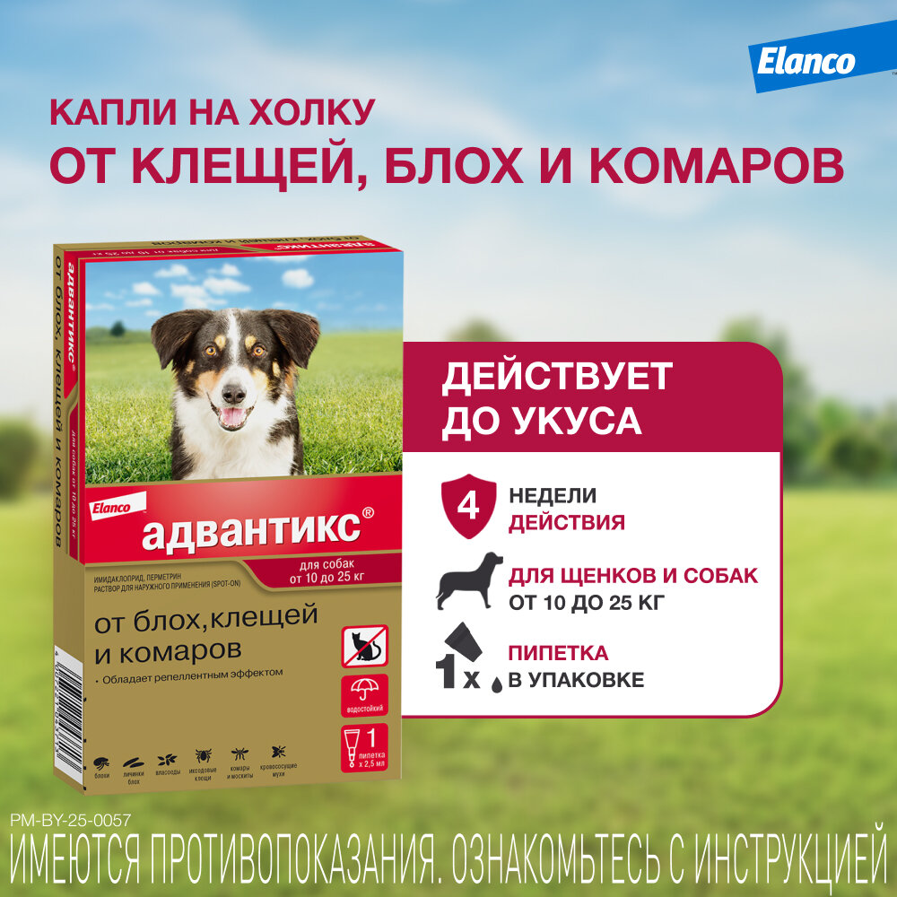 Адвантикс (Elanco)  для собак от 10 до 25 кг для защиты от блох, иксодовых клещей и летающих насекомых и переносимых ими заболеваний, 1 пипетка в упаковке