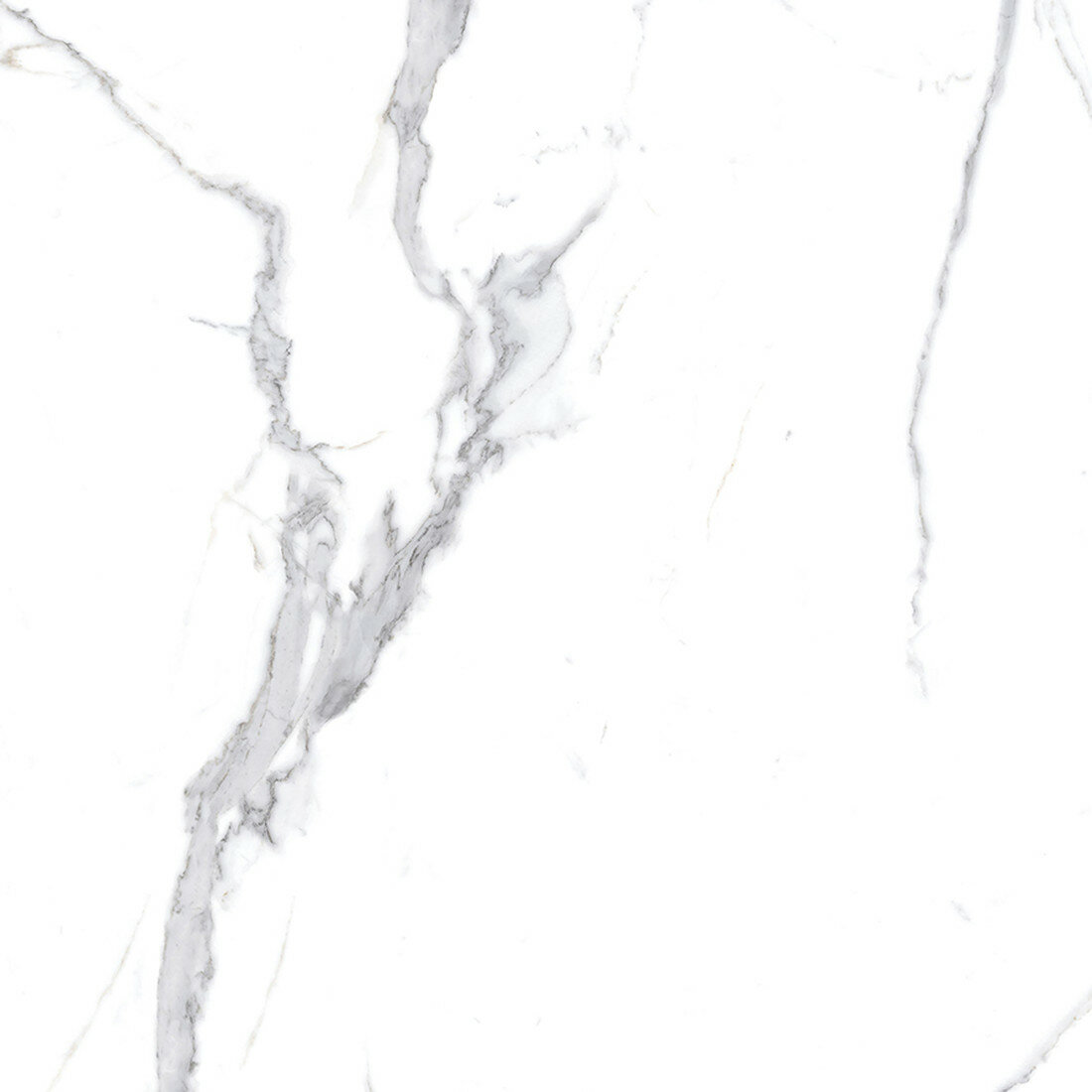 Керамогранит Ceradim Calacatta Splendid Silver белый 60х60 полированный