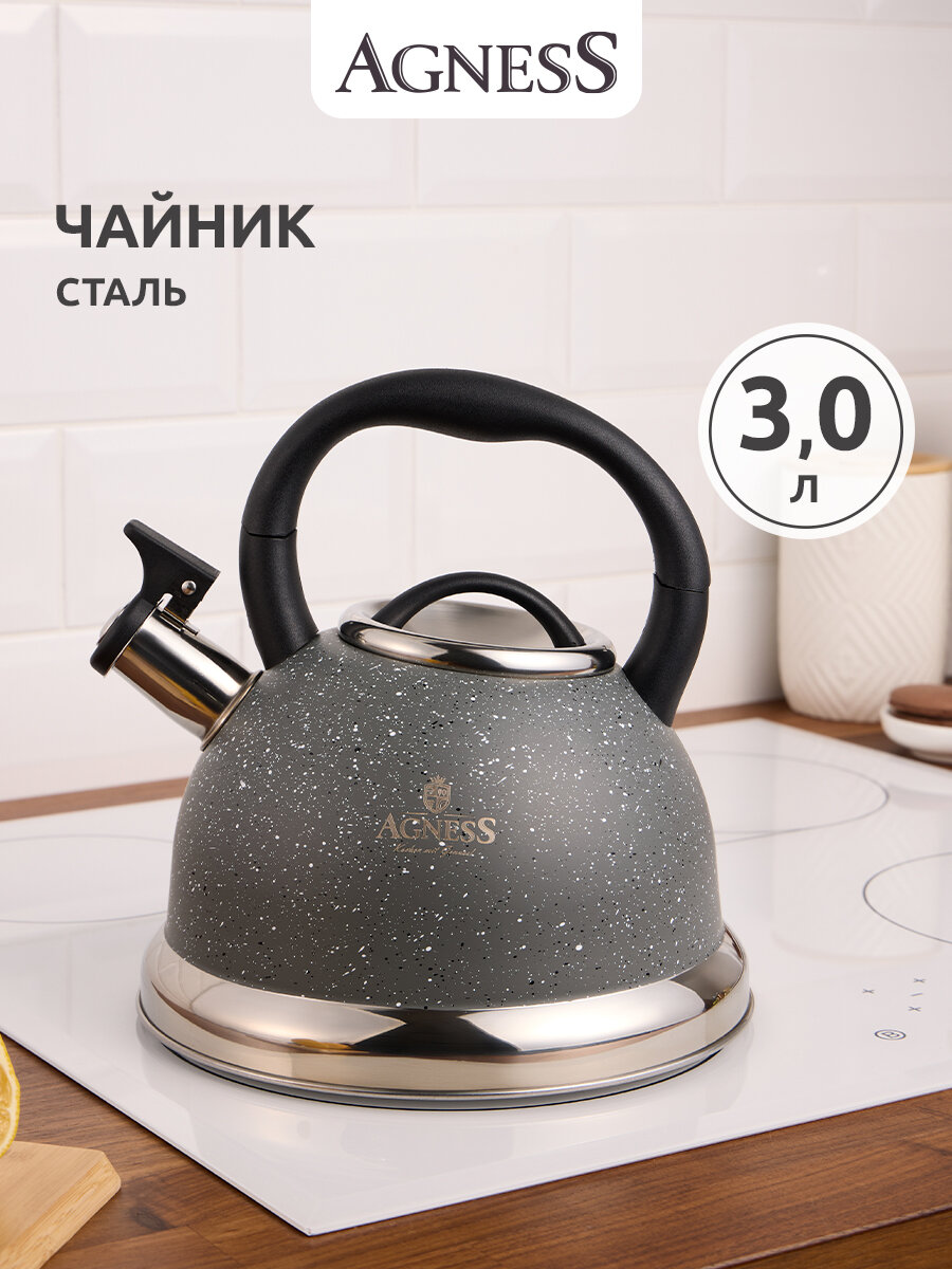 Чайник Agness 